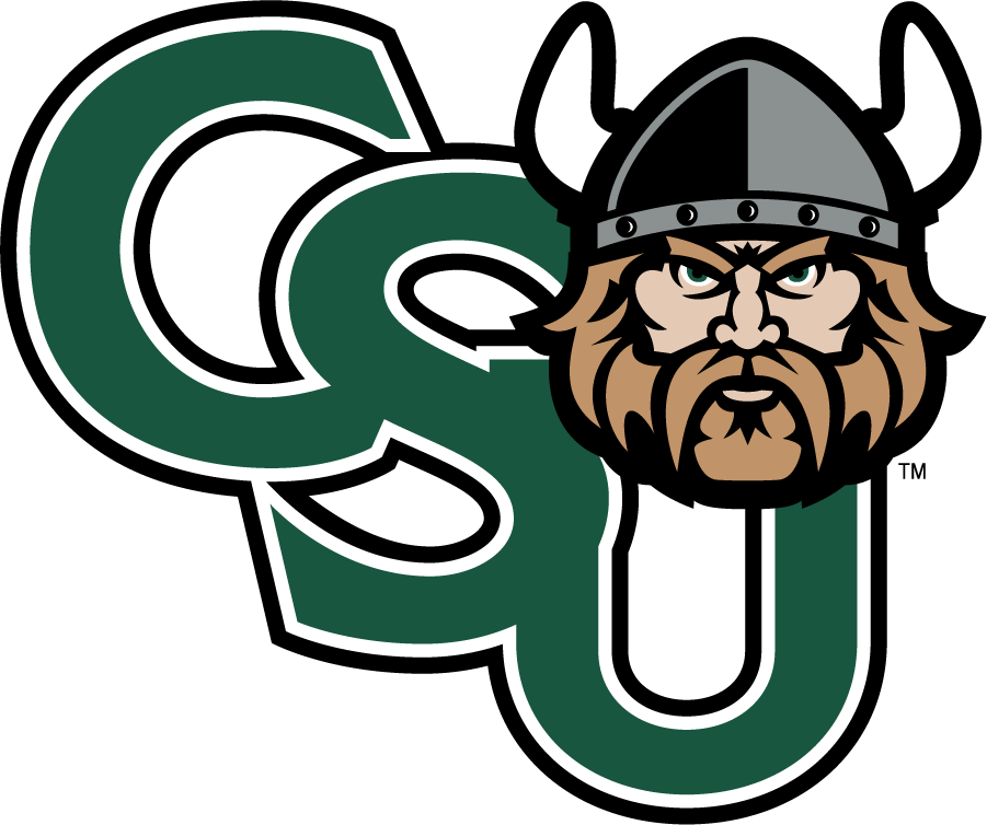 Cleveland State Vikings 2007-Pres Secondary Logo v5 diy iron on heat transfer